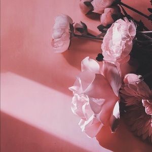 Meet your Posher, Margie